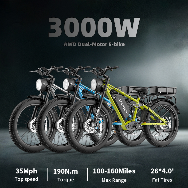 ANDSKY Apex50 AWD Electric Bik - Bike Pump Frame Mount 评论和价格
